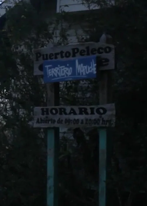 Puerto Peleco постер
