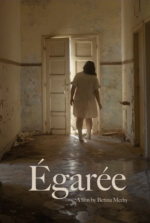 Égarée постер