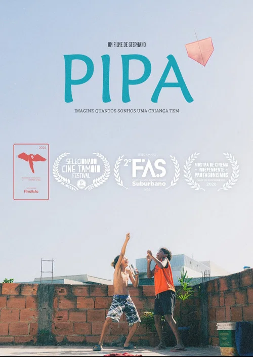 PIPA постер