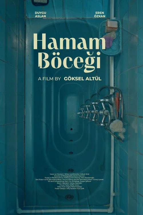Hamam Böceği постер