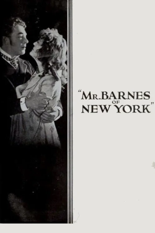Mr. Barnes of New York постер