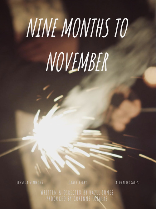 Nine Months to November постер
