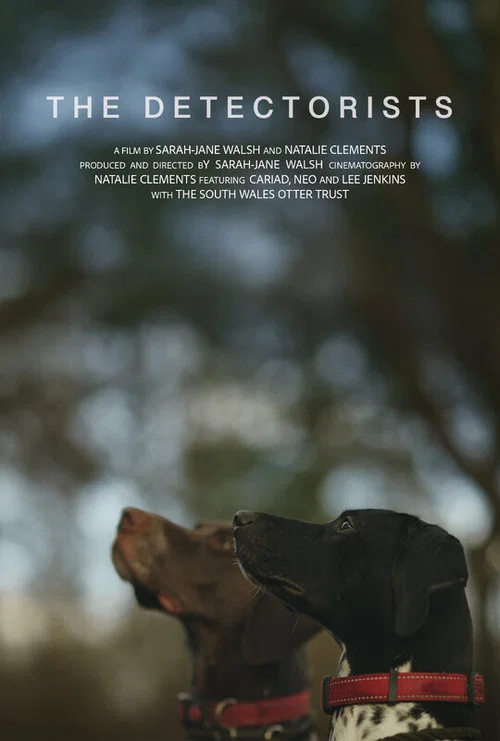 The Detectorists постер