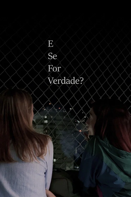 E Se For Verdade? постер