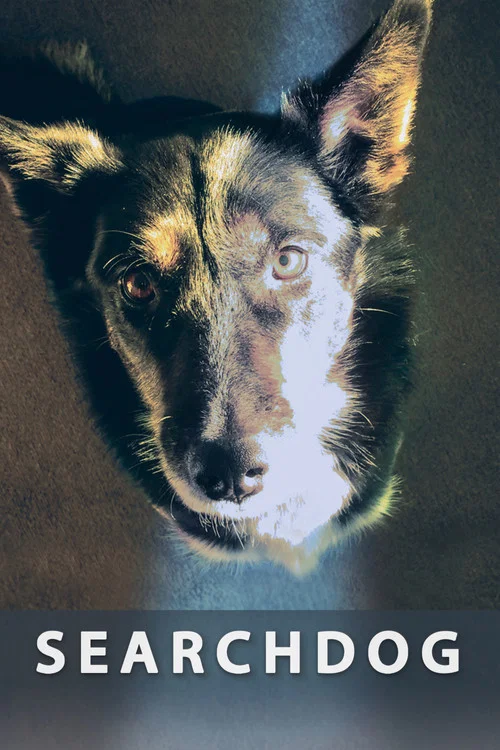 Searchdog постер