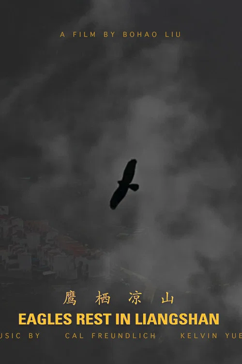 Eagles Rest in Liangshan постер