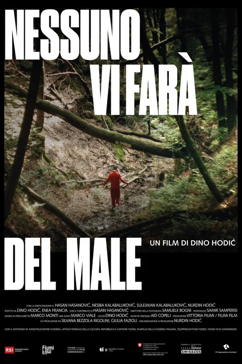 Nessuno vi farà del male постер