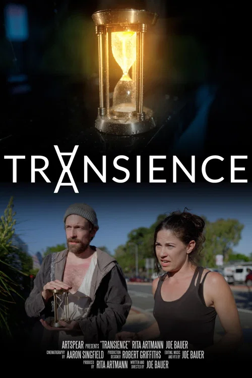 Transience постер