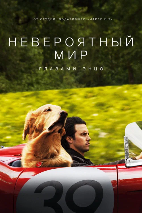 Невероятный мир глазами Энцо постер