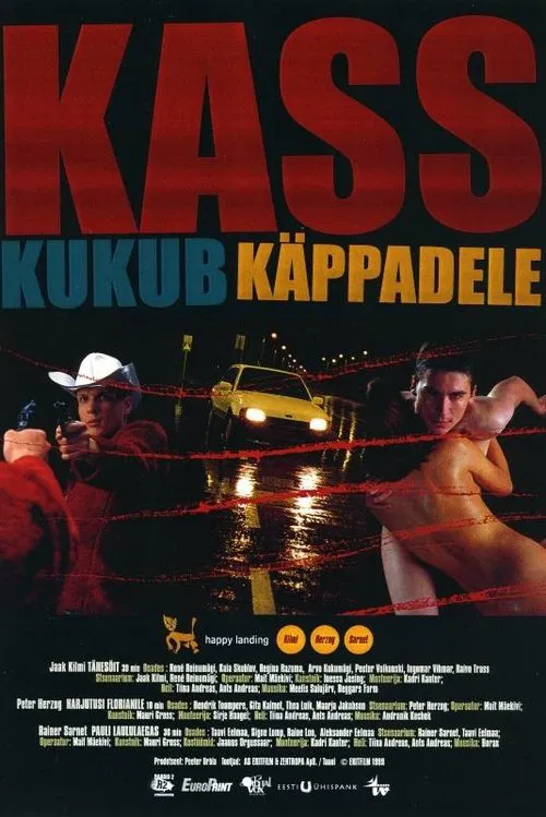 Kass kukub käppadele постер