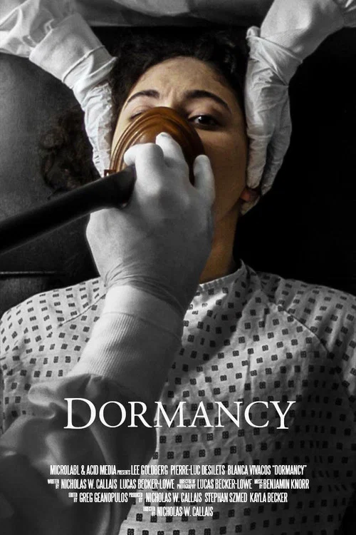 Dormancy постер