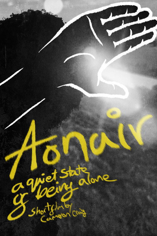 Aonair постер