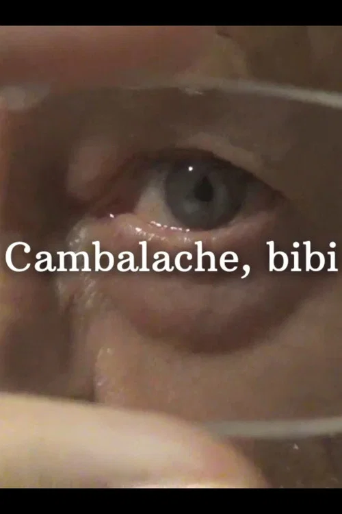 Cambalache, Bibi постер