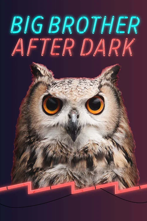 Big Brother: After Dark постер