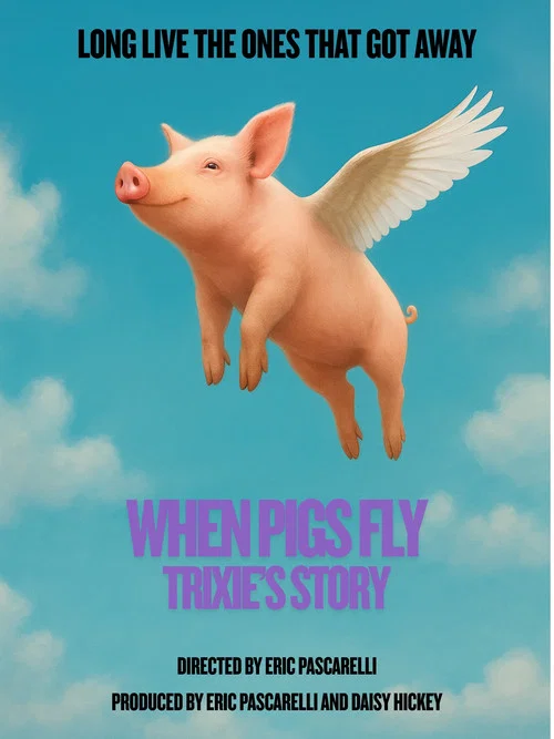 When Pigs Fly: Trixie's Story постер