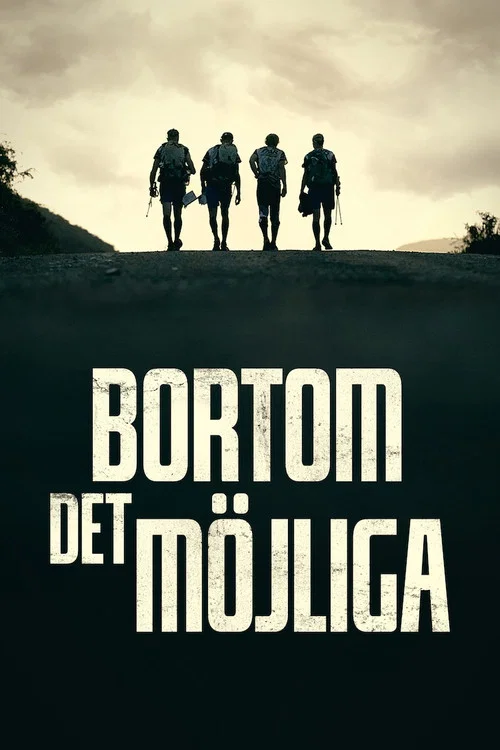 Bortom det möjliga постер