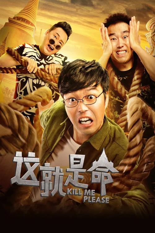 这就是命 постер