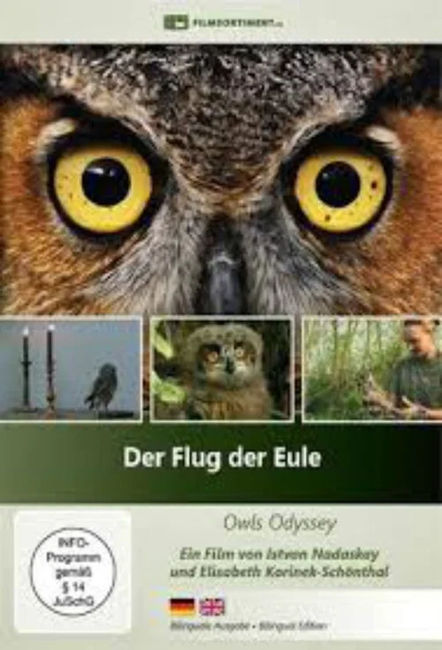 Der Flug der Eule постер