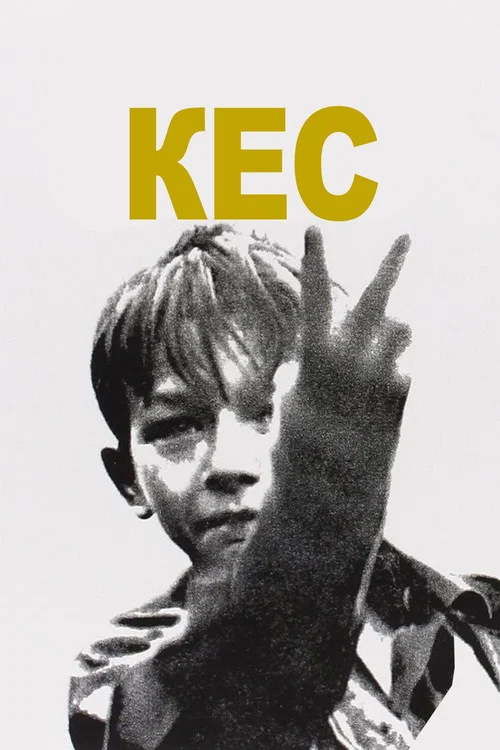 Кес постер