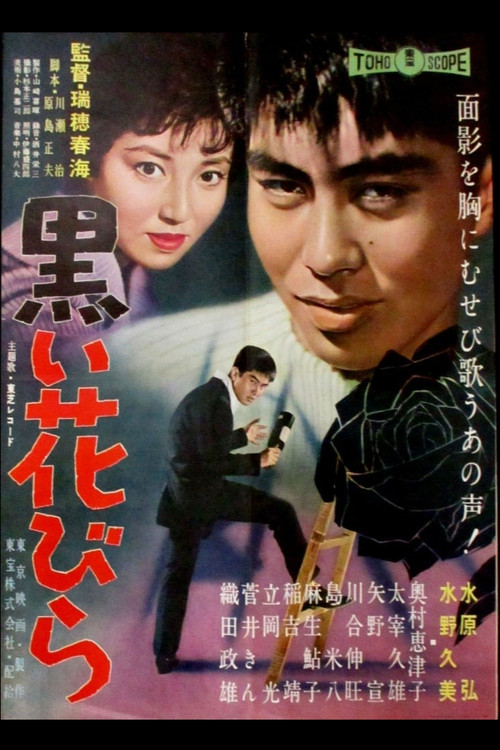 黒い花びら постер