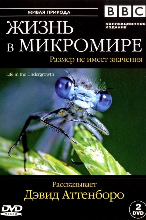 Жизнь в микромире постер