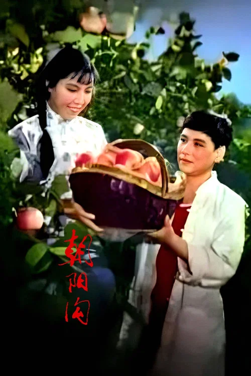 朝阳沟 постер