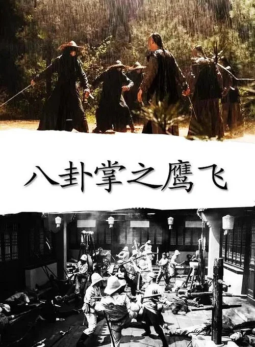 八卦掌之鹰飞 постер