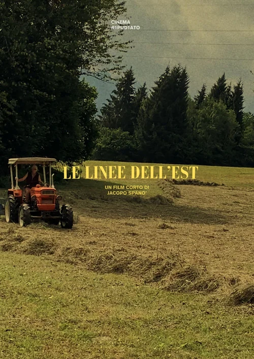 Le linee dell'est постер