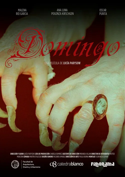 Domingo постер