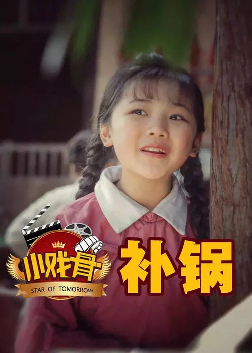 小戏骨：补锅 постер