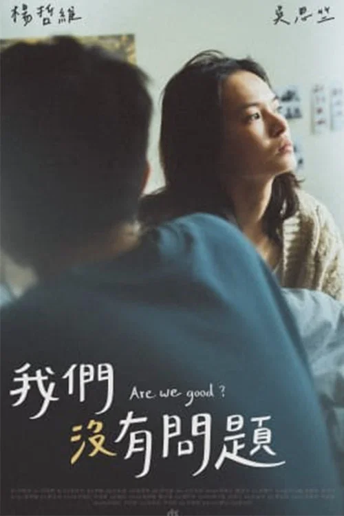 我們沒有問題 постер