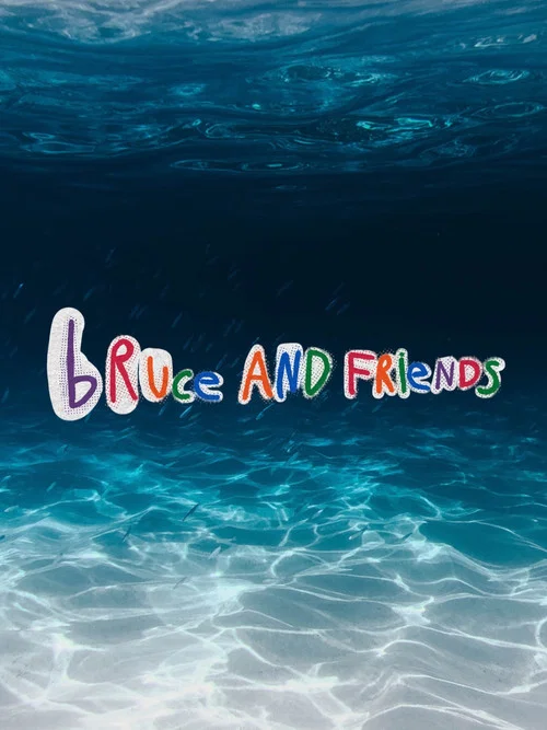 Bruce And Friends постер