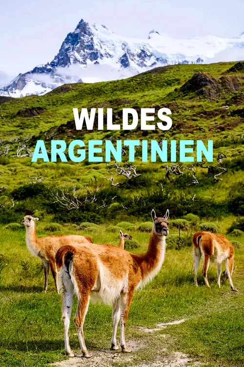 Wild Argentina: Extreme Earth постер