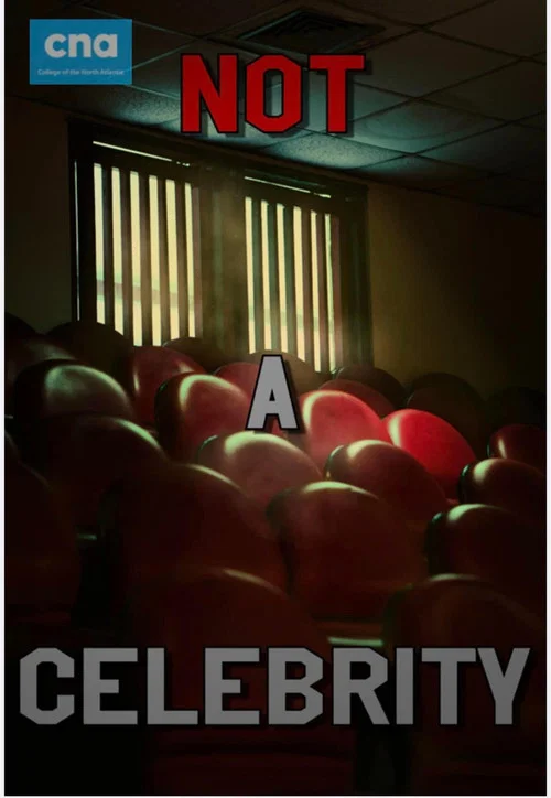 Not A Celebrity постер