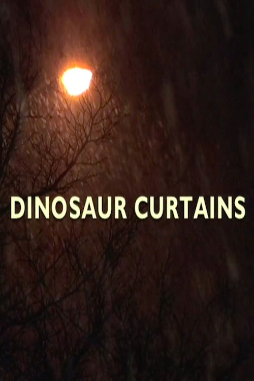 Dinosaur Curtains постер