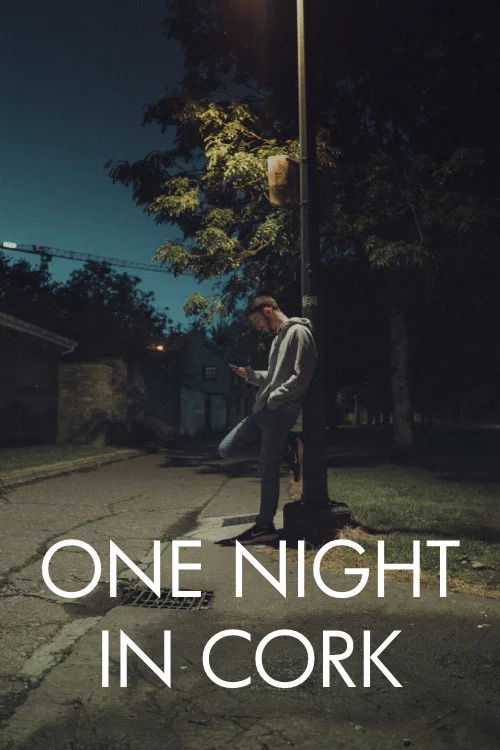 One Night in Cork постер