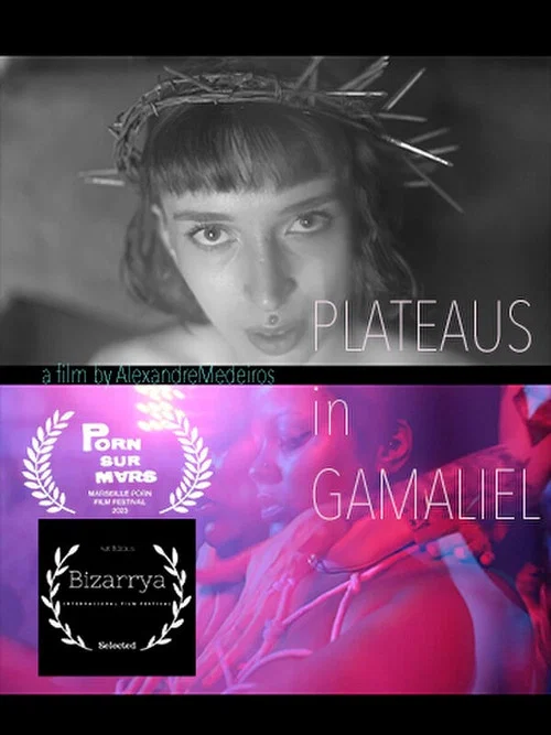 Plateaus in Gamaliel постер