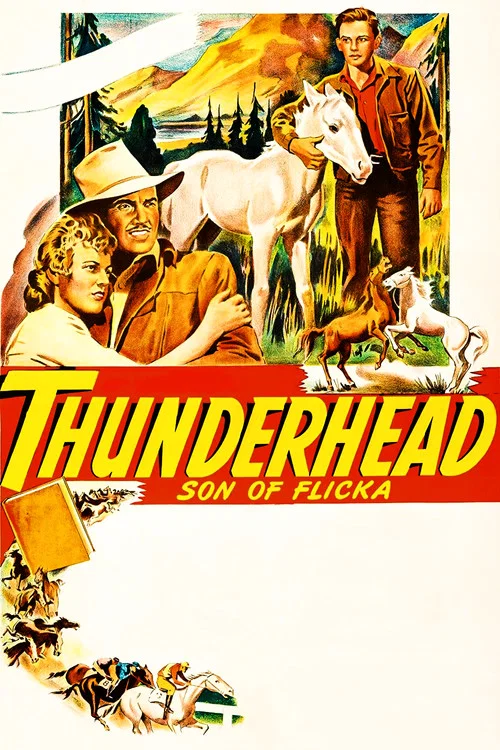 Thunderhead: Son of Flicka постер