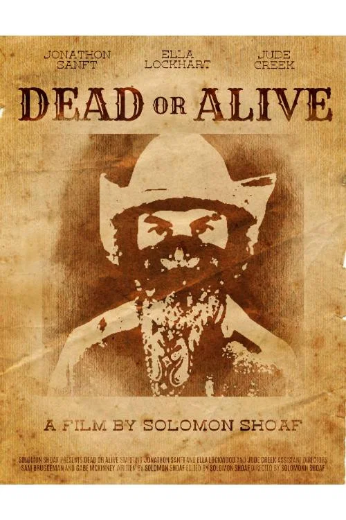 Dead or Alive постер