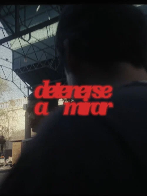 Detenerse a mirar постер