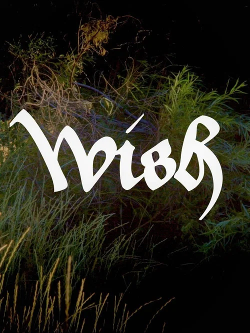 Wish постер