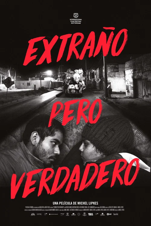 Extraño pero verdadero постер