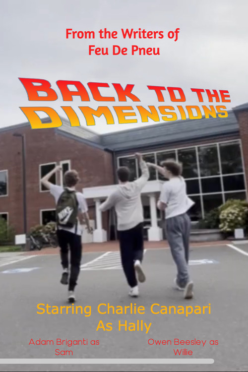 Back to the Dimensions постер
