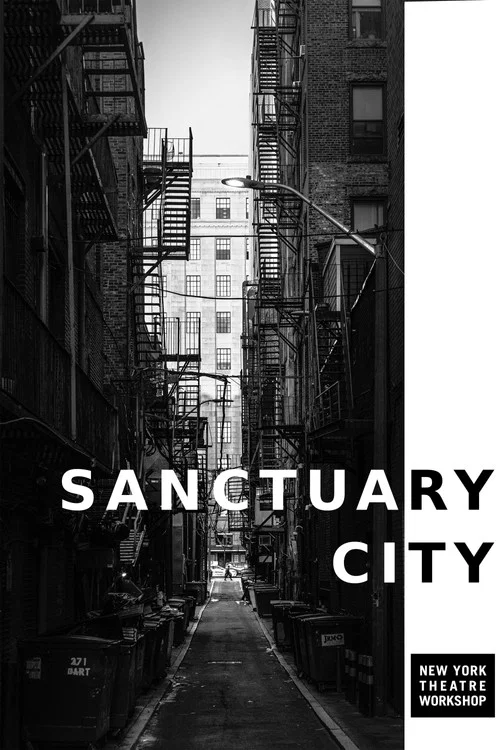 Sanctuary City постер