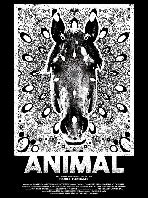 Animal постер