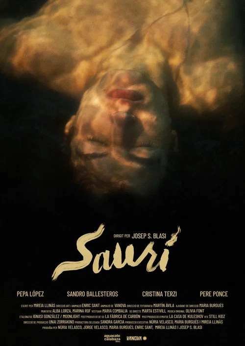 Saurí постер