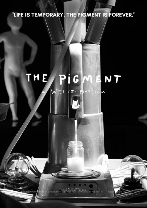 THE PIGMENT постер