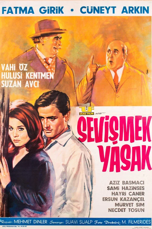 Sevişmek Yasak постер