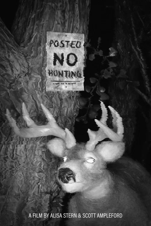Posted No Hunting постер