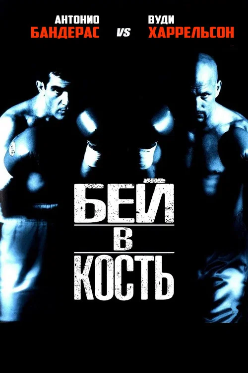 Бей в кость постер